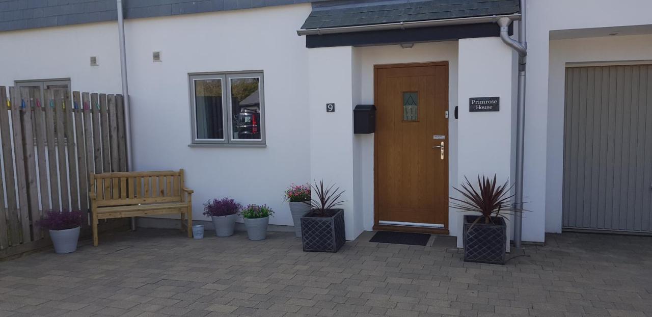 Primrose House Panzió St Ives Kültér fotó